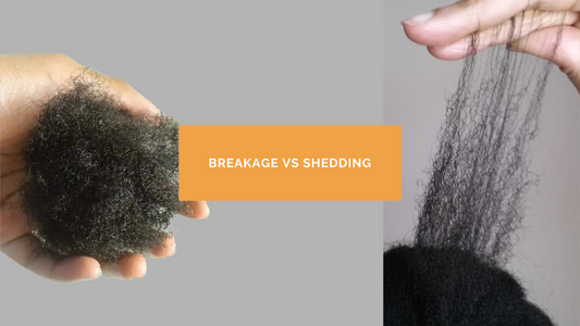 Breakage vs Shedding
